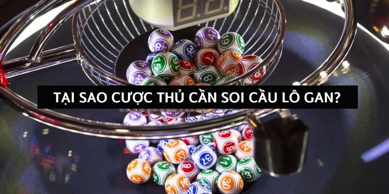 tai-sao-cuoc-thu-can-soi-cau-lo-gan